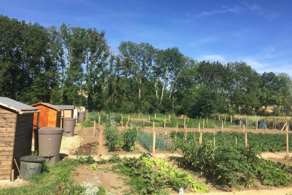 Vue des jardins familiaux