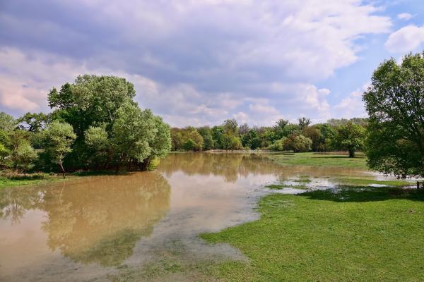 Inondations