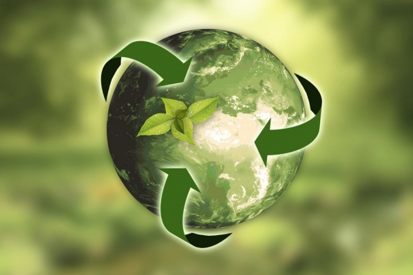 Logo environnement