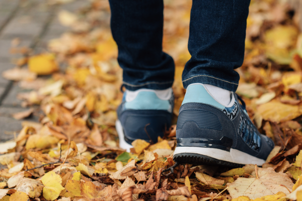 Feuilles mortes