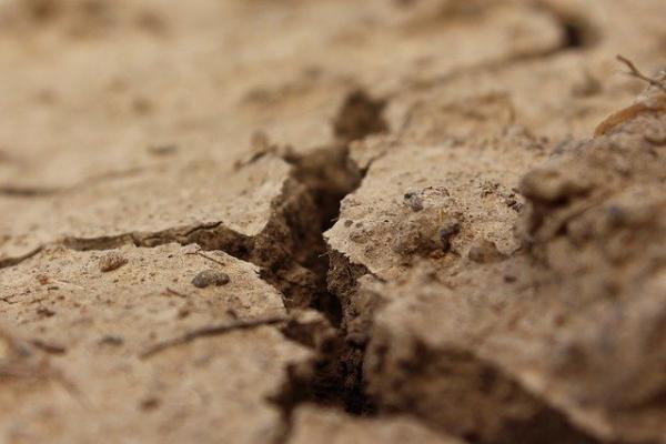 Photo d'une fissure en terrain argileux