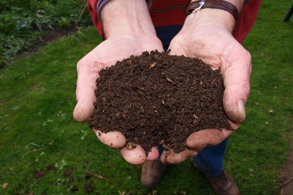 Compost maturé