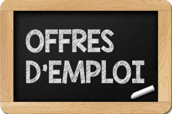 Offre emploi